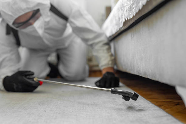 Professional Bed Bug Control technician working in Marysville, OH