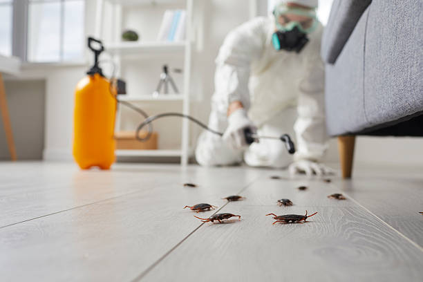 Trusted Termite Control service in Marysville, OH - Nex Pest Control